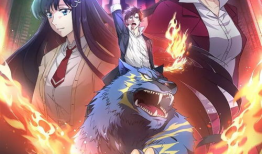 全职法师动漫,全职法师动漫概览